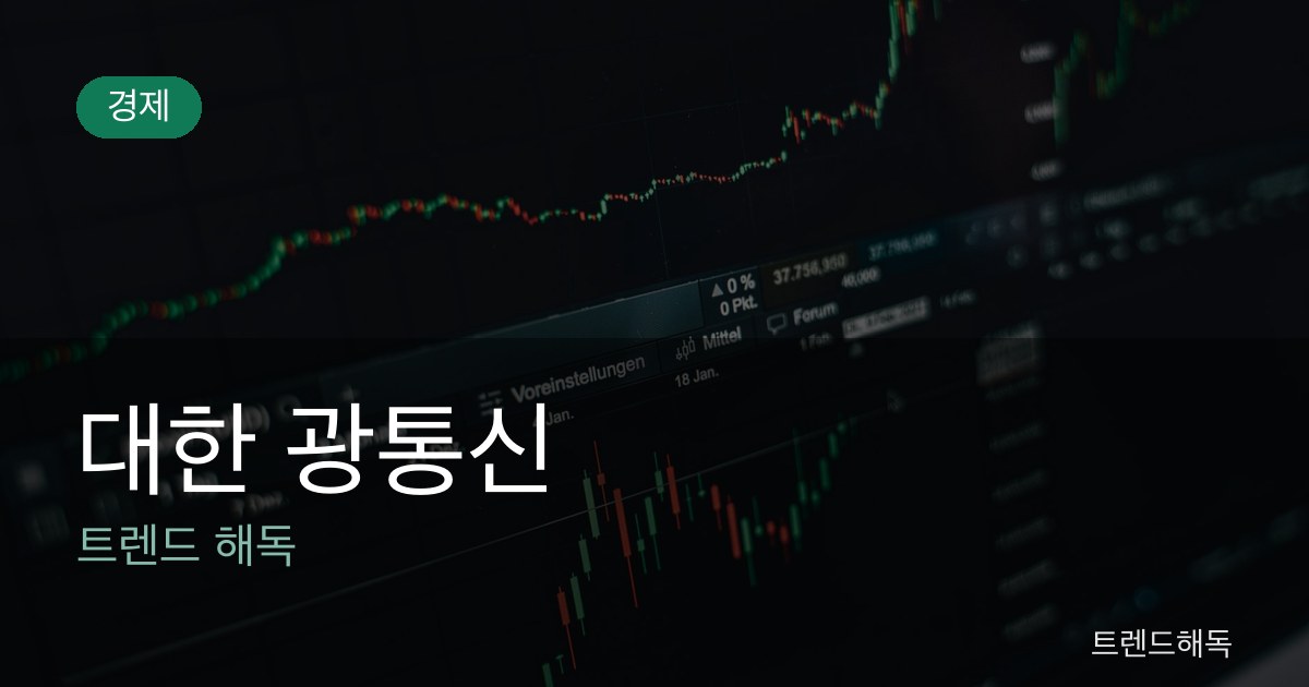 대한 광통신 관련 이미지
