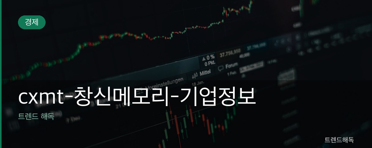 cxmt-창신메모리-기업정보 관련 이미지