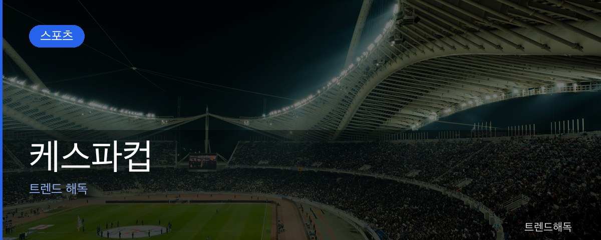 케스파컵 관련 이미지